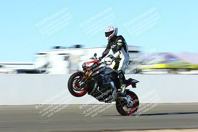 media/Jan-09-2022-SoCal Trackdays (Sun) [[2b1fec8404]]/Front Straight Speed Shots (1pm)/